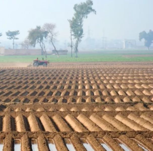 agricultural land in pakistan with irrigated land area and green pastures behind