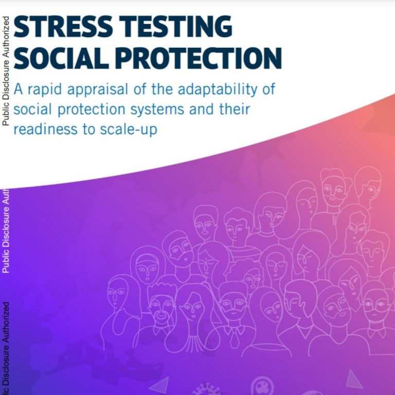 Stress Testing Social Protection