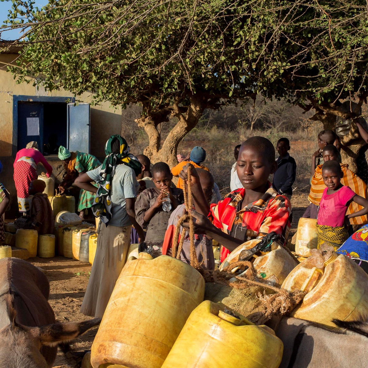 Villagers queuing for water at a pump in Kenya's arid Eastern Province. Photo: Flore de Preneuf / World Bank