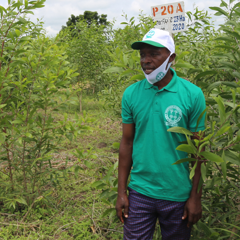 Benin: Local communities help restore classified forests