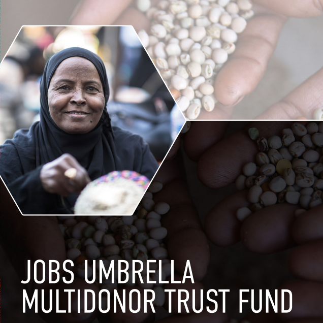 Jobs Umbrella trust fiund