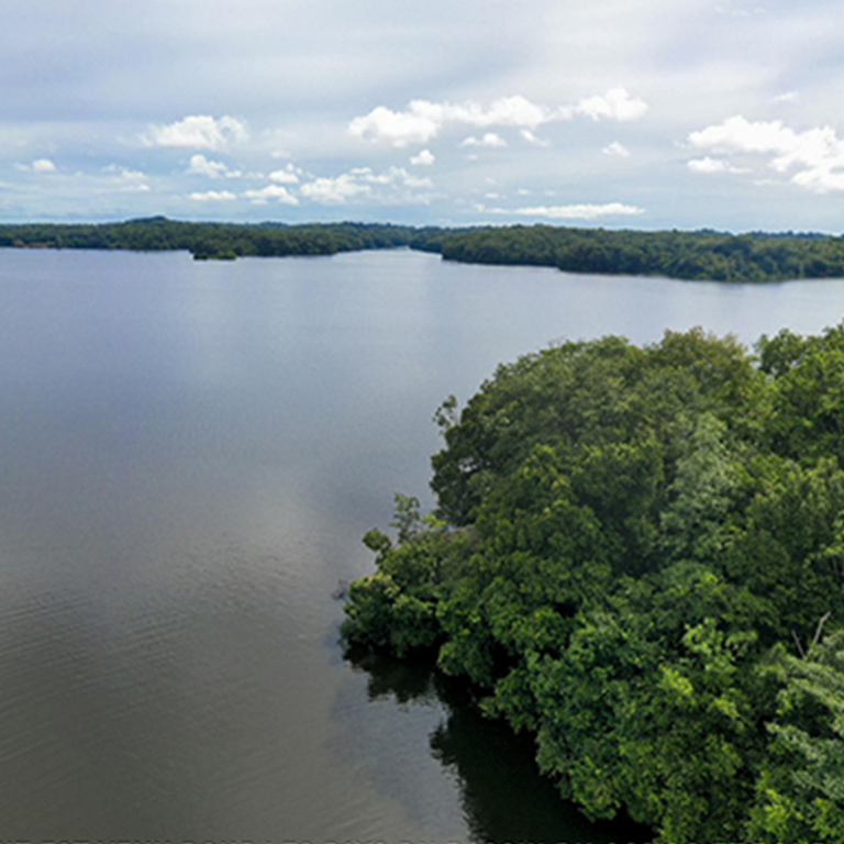 Journey into the Congo Basin – The Lungs of Africa and Beating Heart of the World