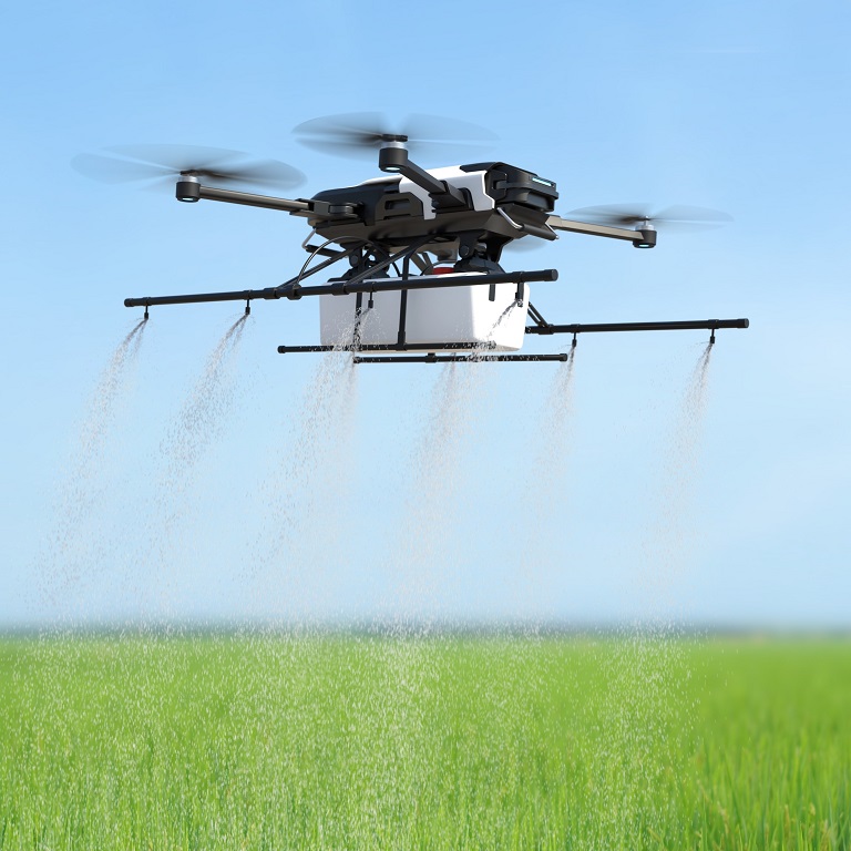 Drone spraying fertilizer on vegetable green plants, Agriculture technology, Farm automation.