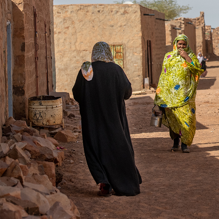 Mauritania Economic Update : Navigating the Storm