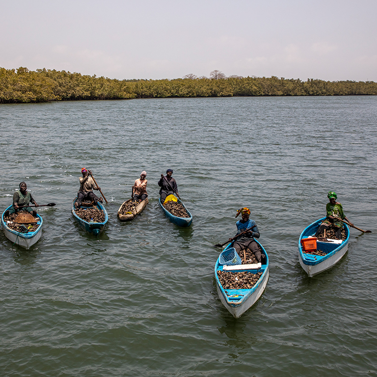 Poverty Trends in The Gambia