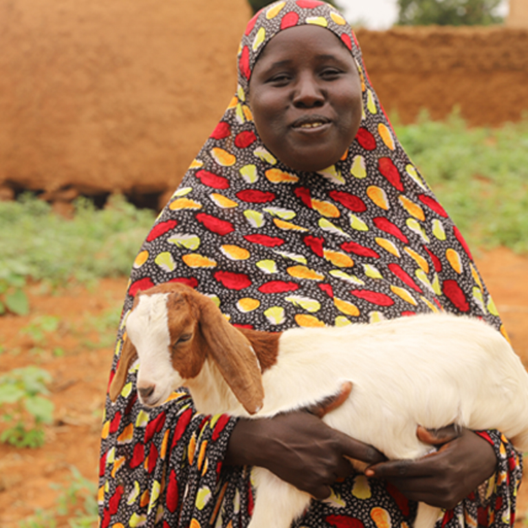 Update on Niger’s Economic Situation