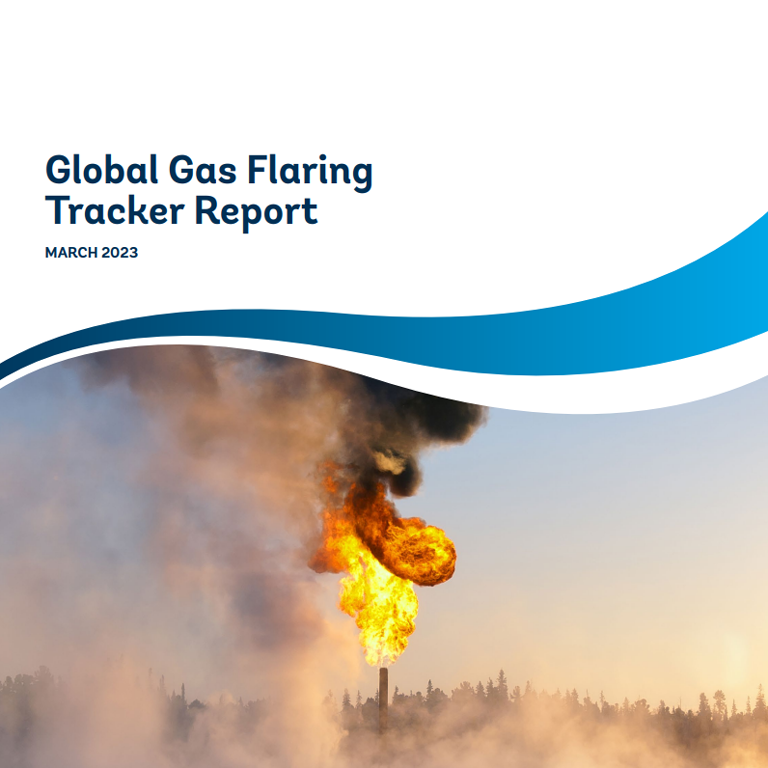 Global Gas Flaring Tracker Report 2023
