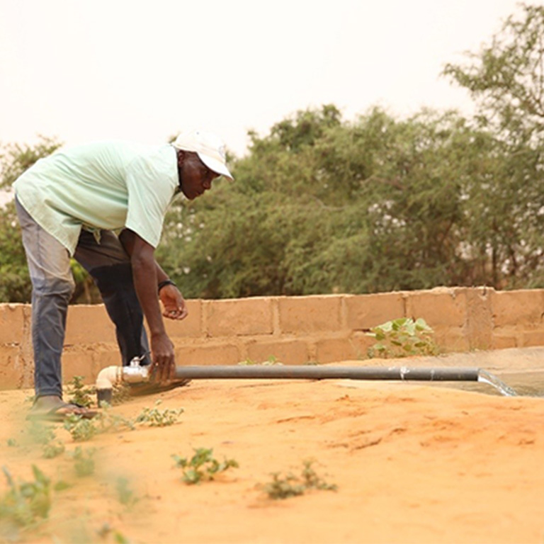 Solar energy brings water to Niger’s farms