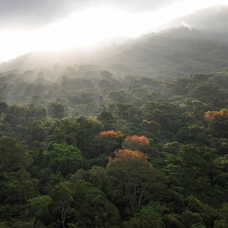 Guinea Strives to Become West Africa’s Climate Leader 