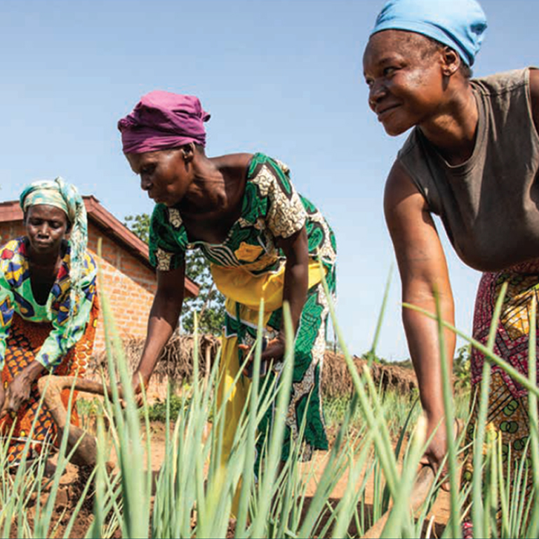 Poverty Assessment for Central African Republic