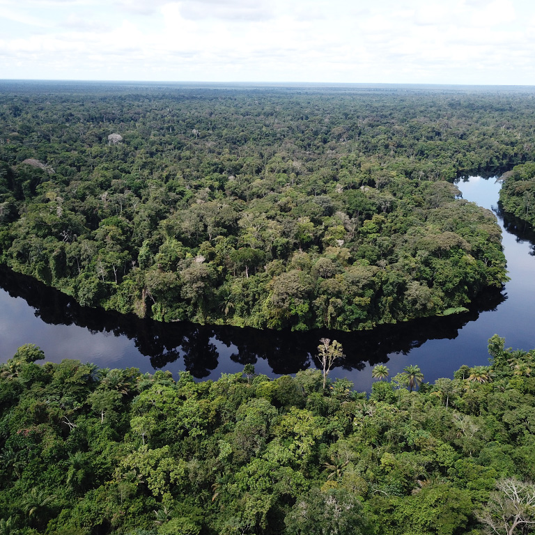 Three priorities to turn natural capital into wealth for the people of the Congo Basin