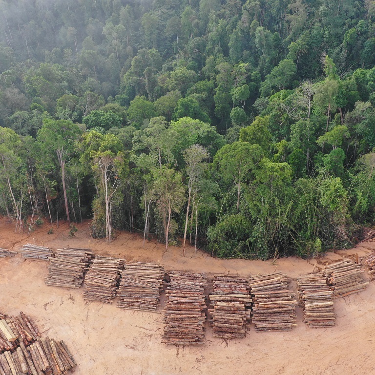 Deforestation. Aerial photo of logging in Malaysia rainforest