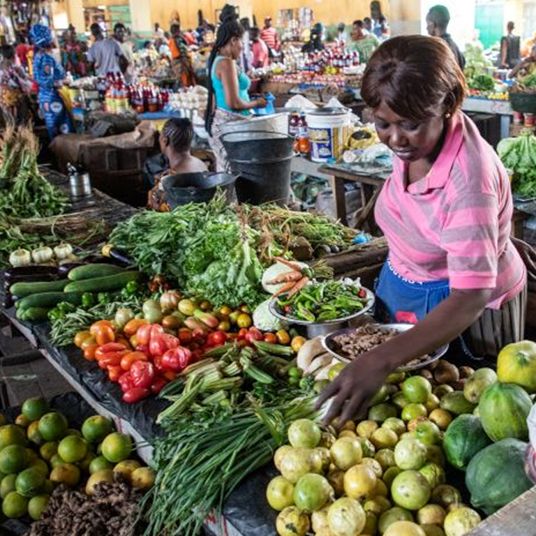 Small Farmers Take on Food Insecurity in West and Central Africa