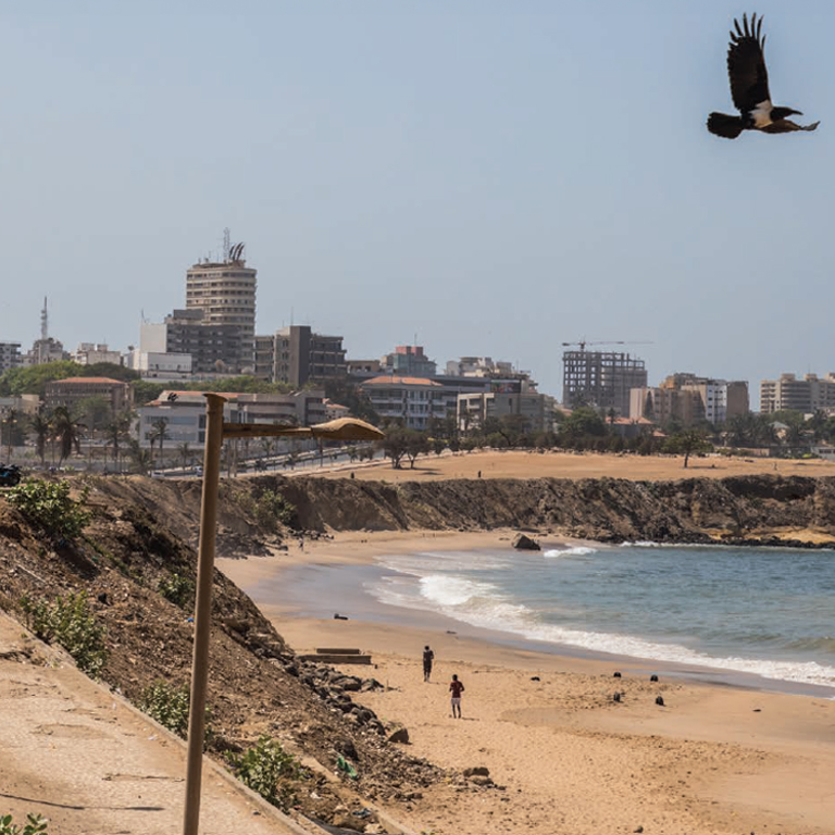 Senegal Economic Update 2024: Seizing the opportunity