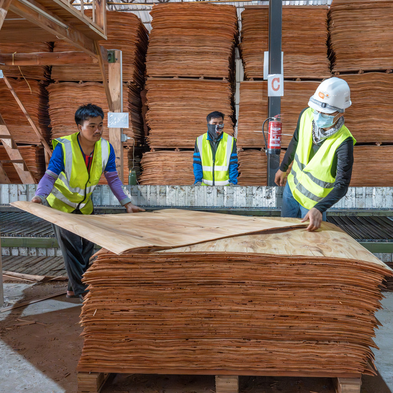 Three Lao workers stack plywood sheets ready for pressing in a Vientiane factory.