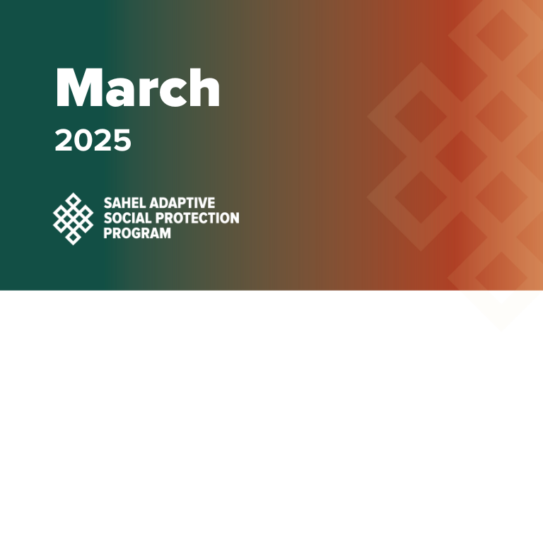 SASPP Quarterly Digest Website Thumbnail 2025 March EN