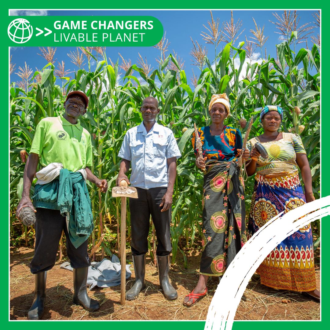 Game Changers Zambia Farmers 