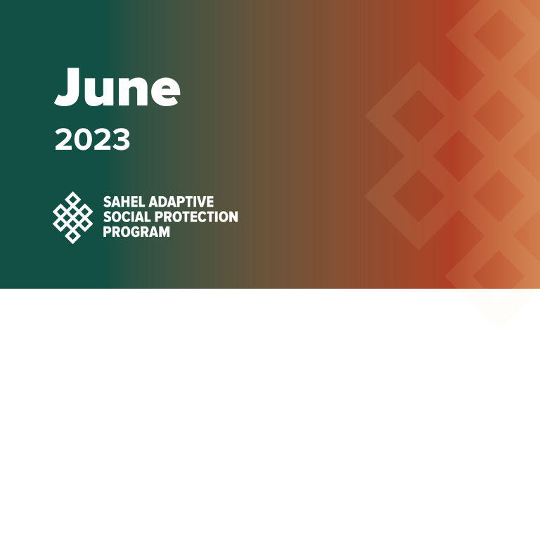 SASPP Quarterly Digest Web Thumbnail 2023 June EN