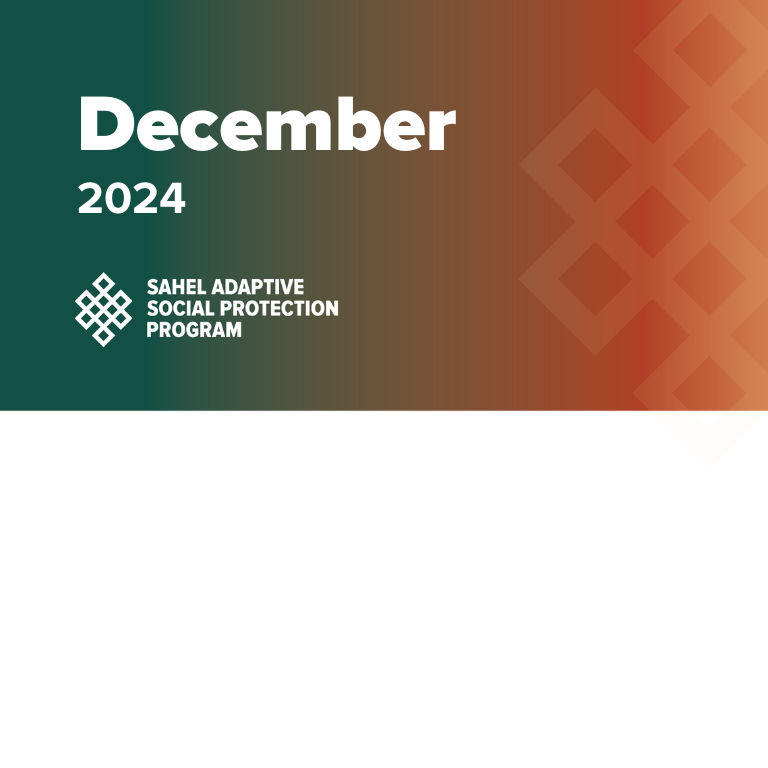 SASPP Quarterly Digest Thumbnail 2024 Dec
