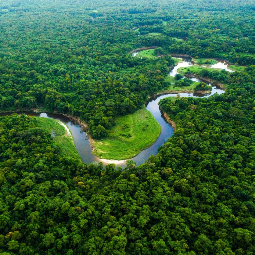 br-amazonia-viva1
