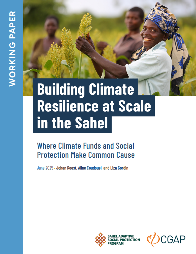 Building Climate Resilience at Scale in the Sahel