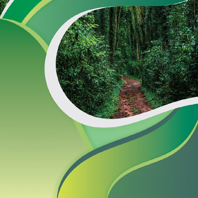 Gabon Economic Update 2025