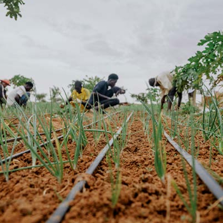 Niger Economic Update 