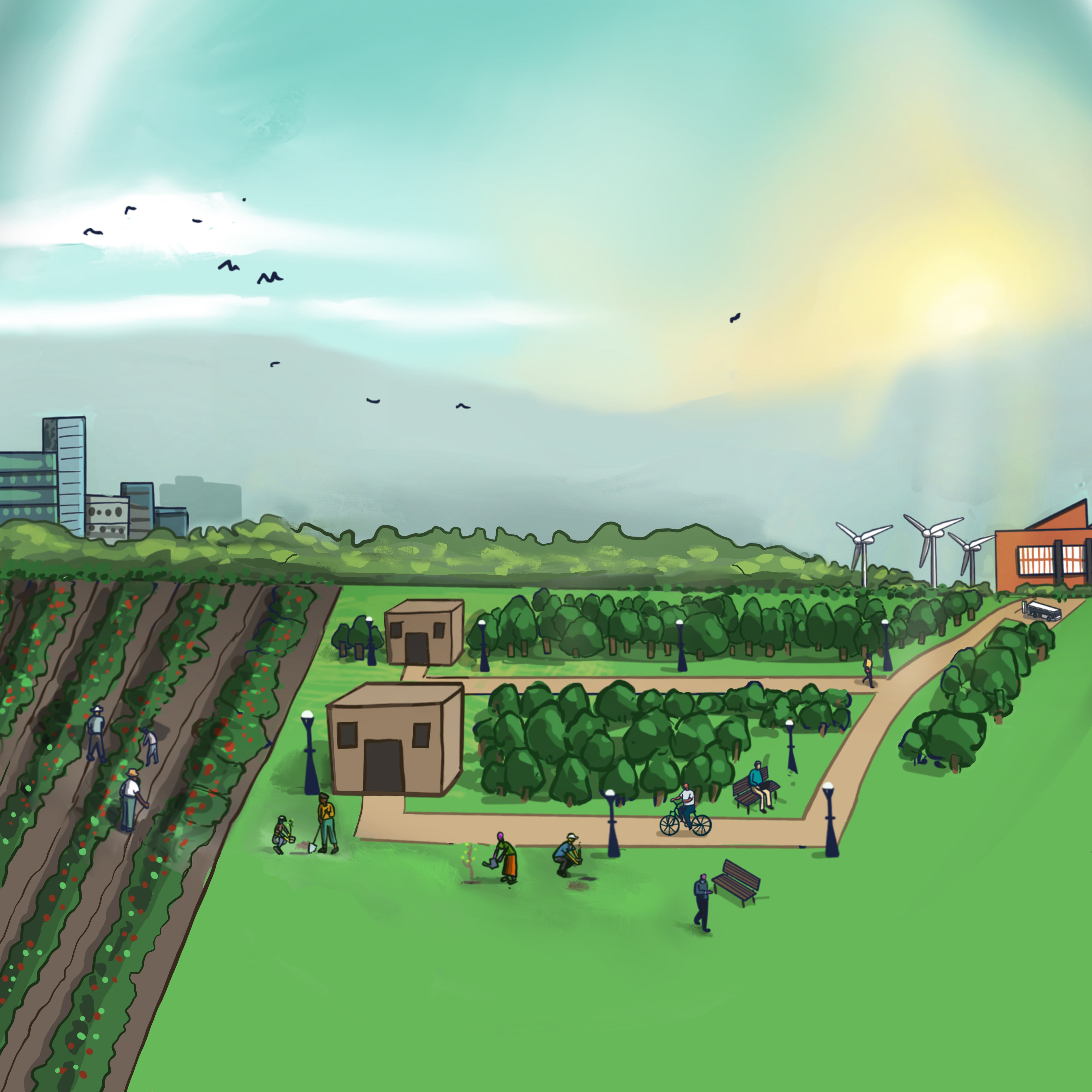 Accelerating Access to Clear Air report cover field and sky and sun 