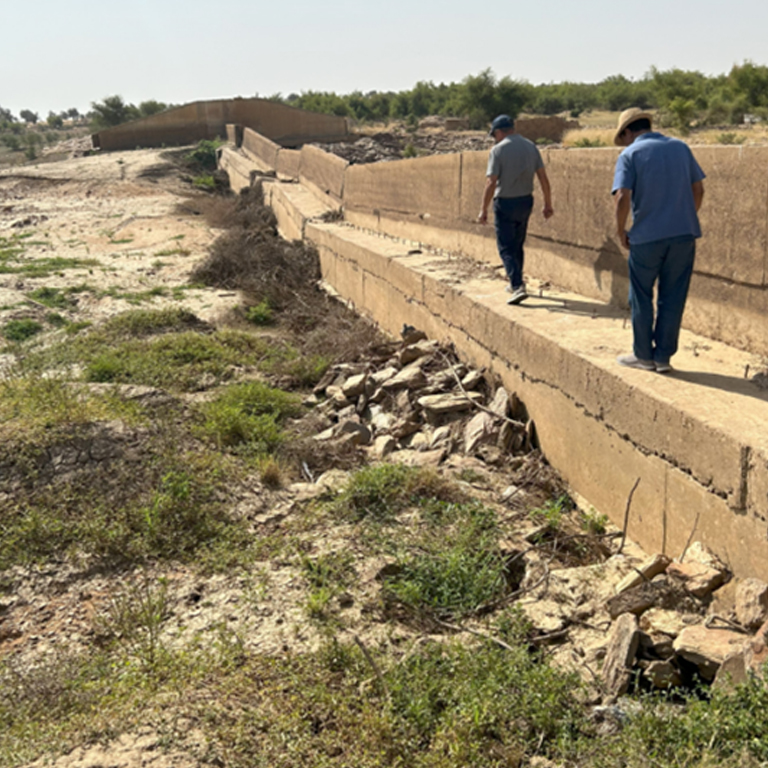 Restoring Agricultural Landscapes in Mauritania: A Transformative Community Effort