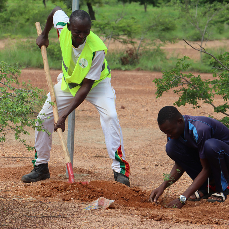 Sahel RESILAND : Scaling-up sustainable solutions for dryland forests