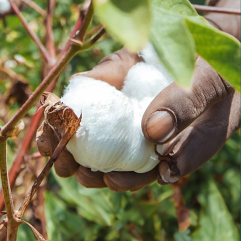 Public Finance Review (PFR) in Agriculture and Rural Connectivity Sectors in Togo