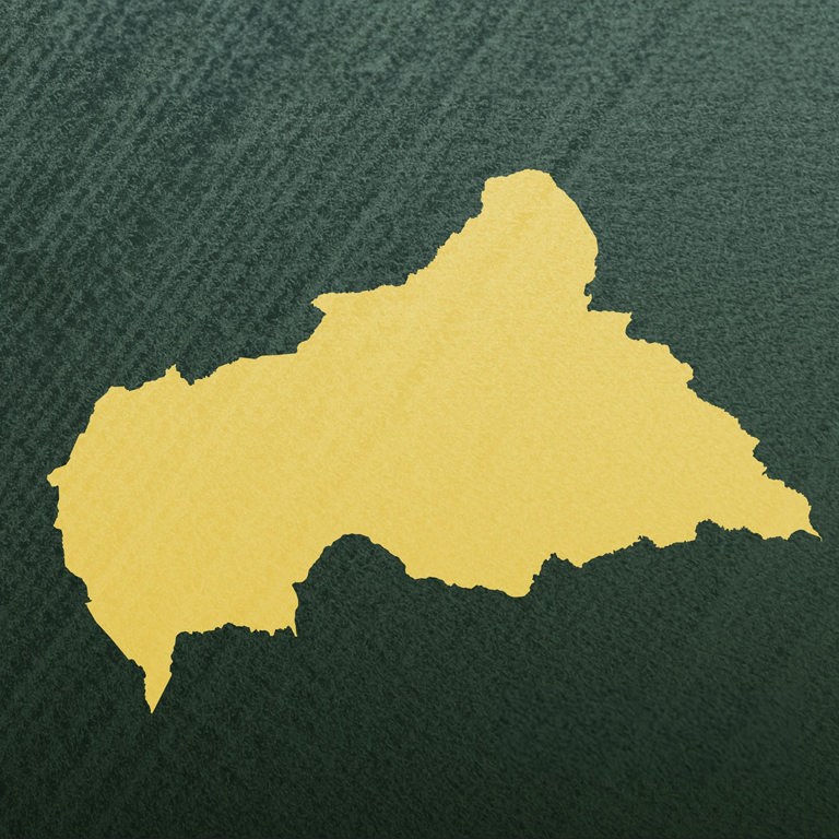 Central African Republic Economic Update : Eighth Edition 