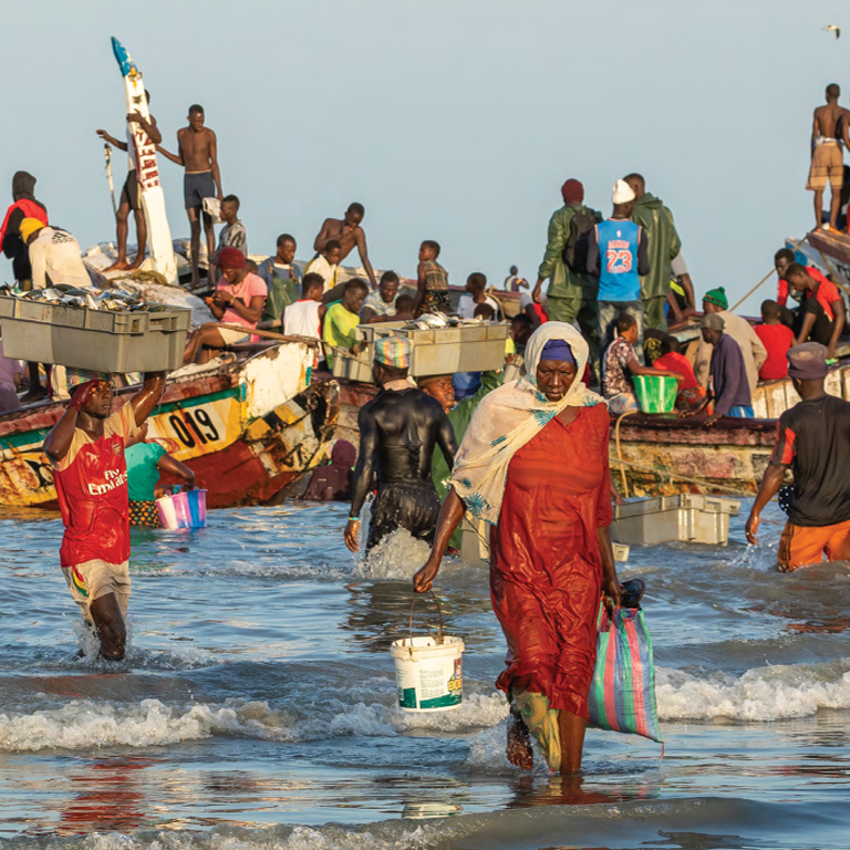 The Gambia Economic Update : The Gambia Public Debt - An Achilles Heel?