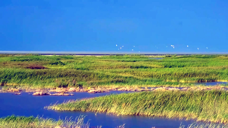 China: Saving Lake Aibi