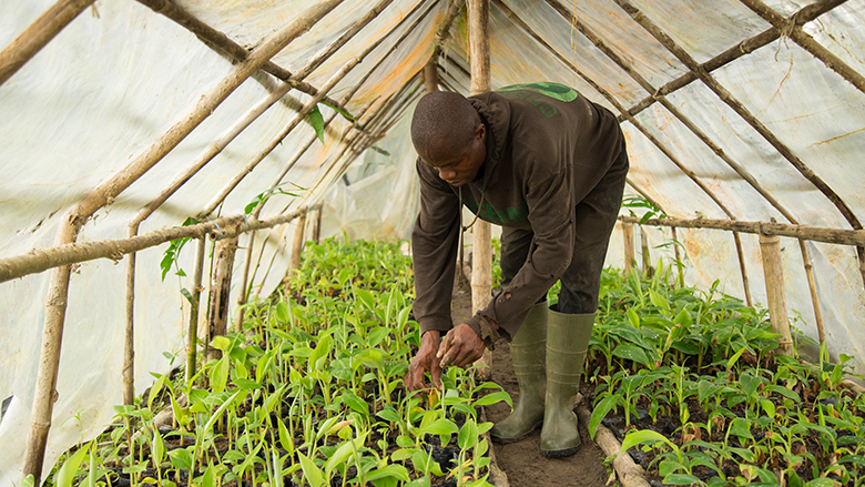 Collaboration Brings 'Amazing' Achievements in West African Agriculture