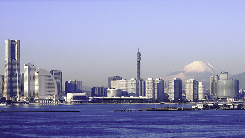 Leveraging Japanese Experience: Building Regulation for Resilience