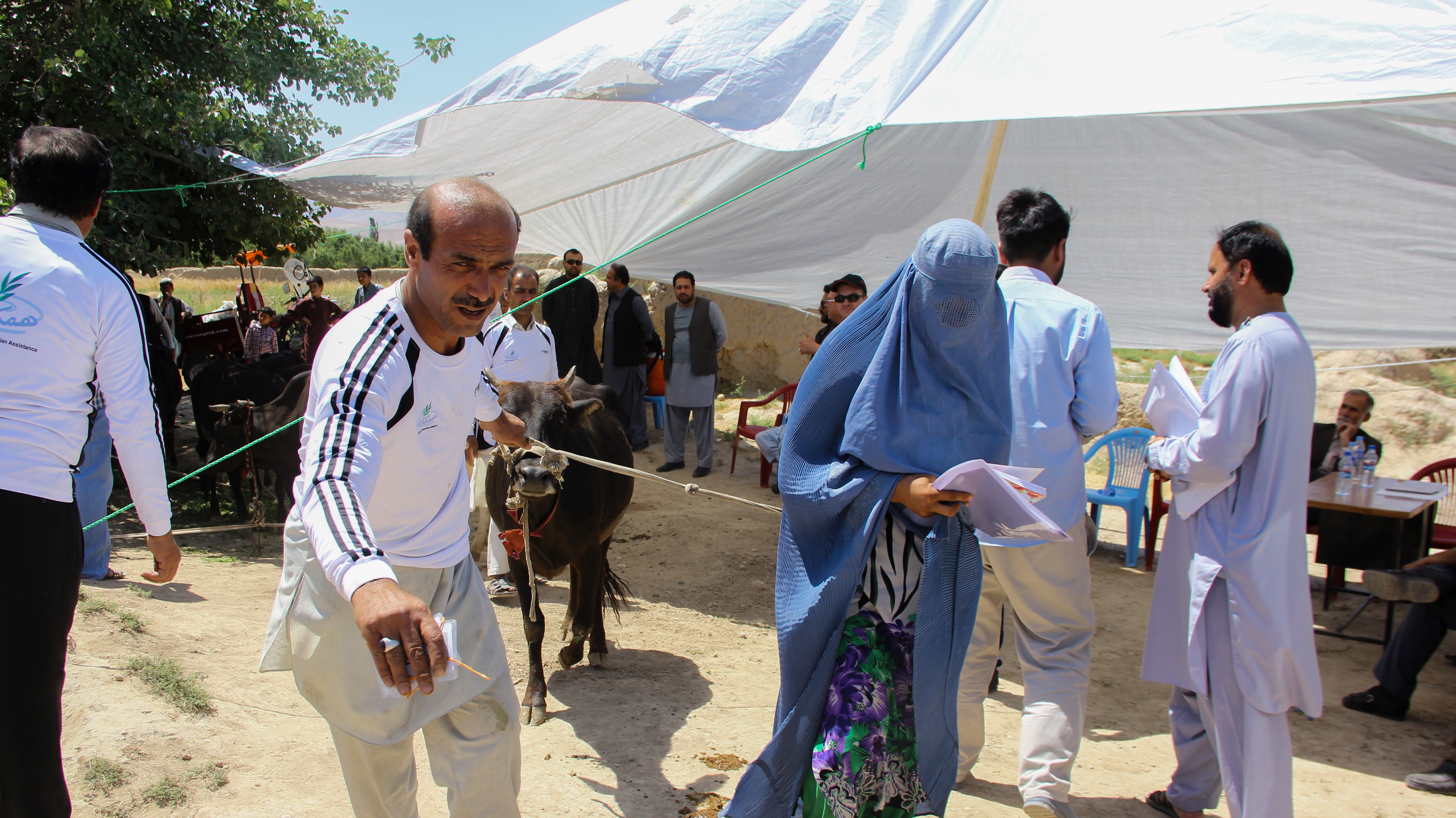 Light After Darkness: Afghanistan's Poorest See Hope for Brighter Future 