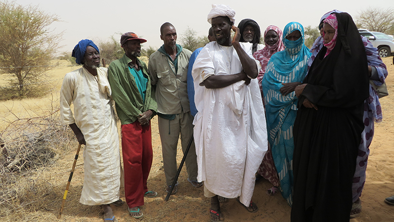 Villagers from Wabounde, in the region of Brakna, Mauritania, are working to regenerate Acacia trees and expand gum arabic production.