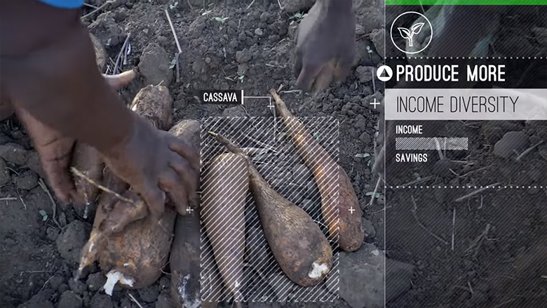 Plant Some Pawpaw and Lift A Goat: Surprising Ways to Combat Climate Change in Kenya