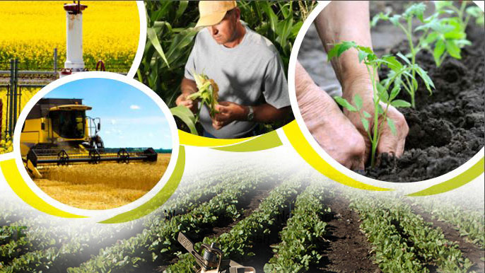 Save the Date:  PSLO Agriculture Mission - November 14 - 17, 2016