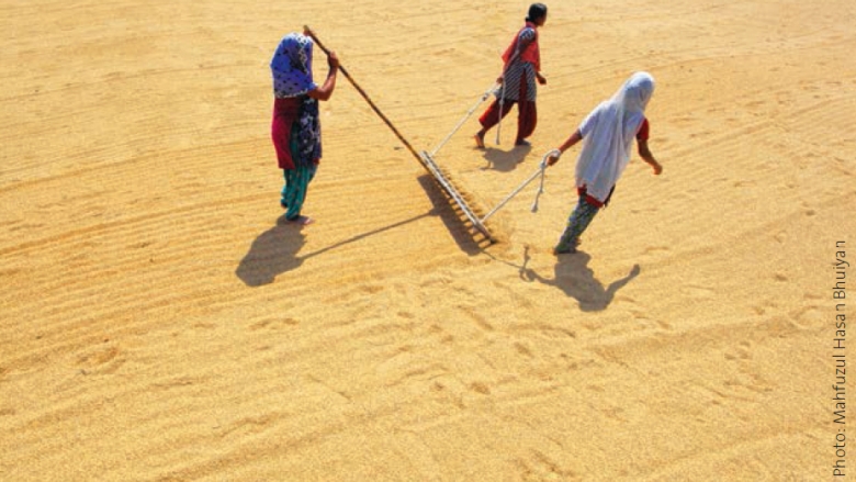 Agriculture Growth Reduces Poverty in Bangladesh