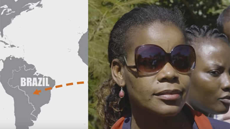 Improving Sustainable Forest Management; A Brazil-Mozambique Knowledge Exchange