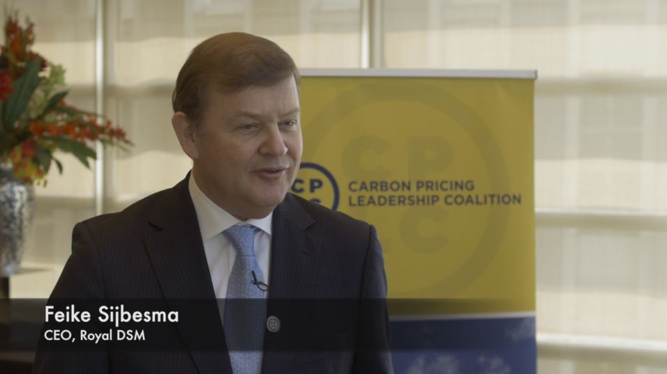 Interview with Feike Sijbesma, CEO, Royal DSM