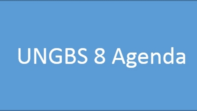 UNGBS 8 Agenda