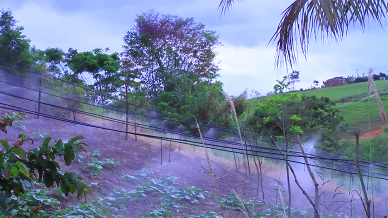 Small farmers increase productivity while making more time for family