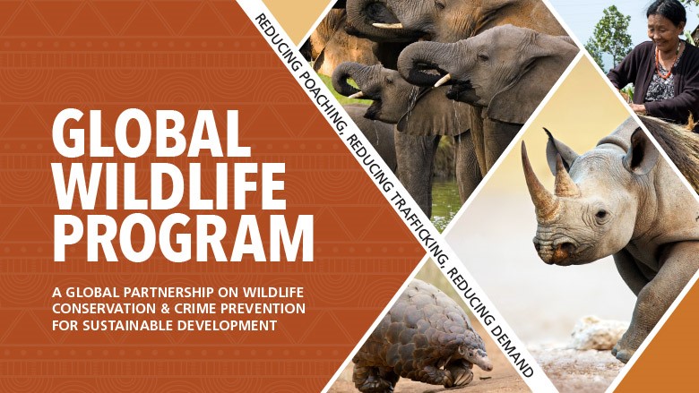 Global Wildlife Program