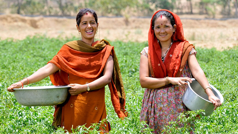 Providing smallholder farmers with greater access to finance is critical to implementing climate-smart agriculture. Photo: Neil Palmer / CIAT