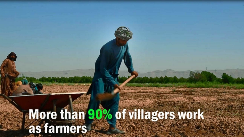 Supporting Agricultural Productivity in Rural Afghanistan