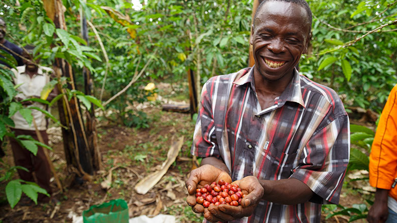 Brewing Prosperity in Uganda: Coffee Farmers Turn to Climate-Smart Agriculture