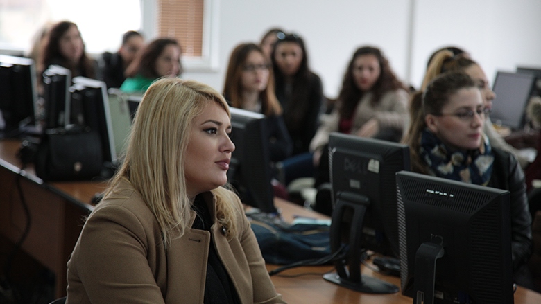 Kosovo: Women in Online Work (WOW) 